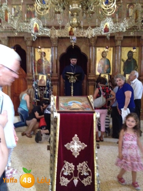 qostanteen 0531 (7).JPG